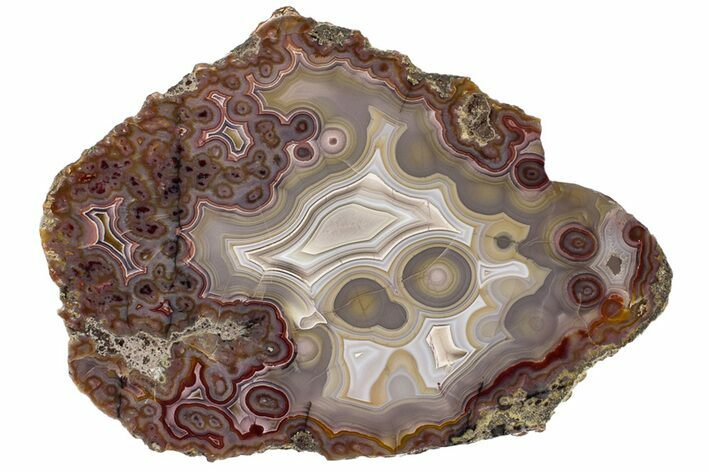 Polished Laguna Agate Slice - Mexico #198075